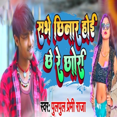 Pulpul Premi Raja - Sabhe Chhinar Hoi Chhe Re Chhari