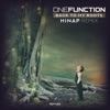 Back to My Roots (Hinap Remix) cover art
