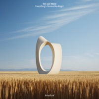 Everything's Gonna Be Alright - Single - Tim van Werd