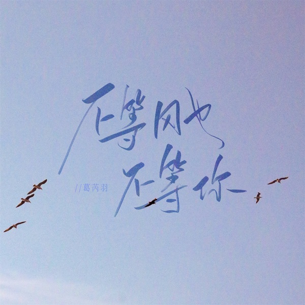 不等风也不等你 - Single