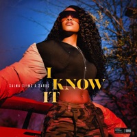 I Know It (feat. 24HRS) - Single - Salma Slims
