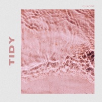 Tidy - Single - Chkody