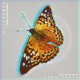 сдтдсомьs w Kellin Quinn Single
