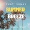 Summer Breeze artwork