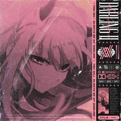 Darling II / VANQUISH - Single