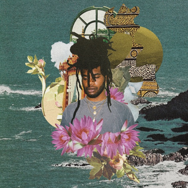 Lotus Fields - Single