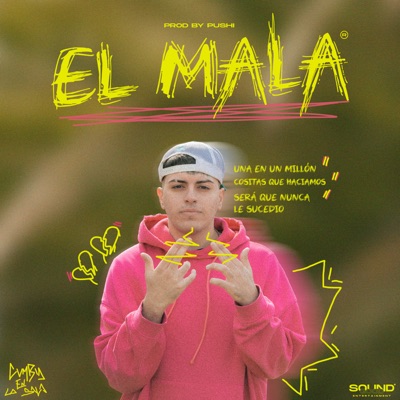 Una en un Millón / Cositas Que Hacíamos / Será Que Nunca Le Sucedió - Single