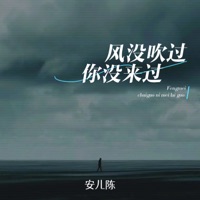 风没吹过你没来过 - Single - 安儿陈