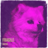 Fragile - Boi2na