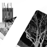 Looking Out the Window - Single - funeral