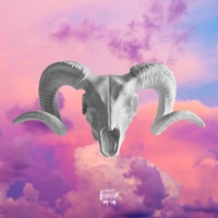 Bars, Pt. 7 (Ultimate) (feat. D. Cannons) - Single - Joey Shellz