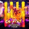 On Fire - Single