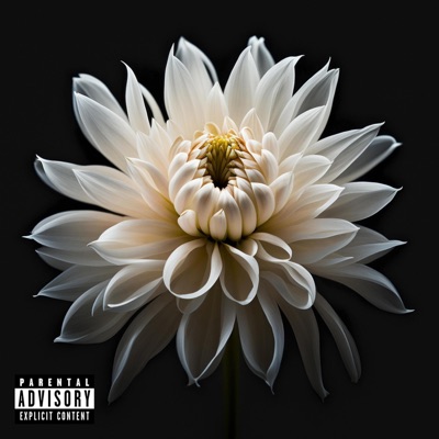 KVET (feat. YANNXN) - Single