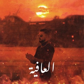 Laafya (T.N.T) HAWKO