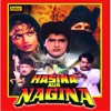 Hasina Aur Nagina