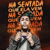 Na Sentada Que Ela Vem (feat. Mc Gw) - Single - Dj Thales Jql