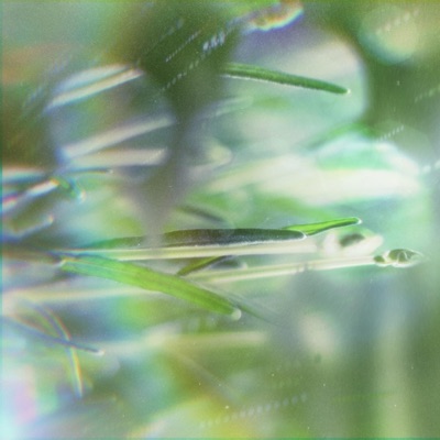 Life (Rain) - Single