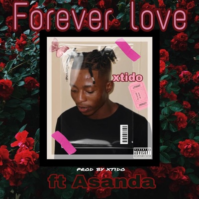 Forever Love (feat. Asanda) - Single