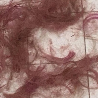 Back N Forth - Single