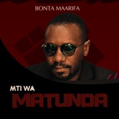 Mti wa Matunda artwork