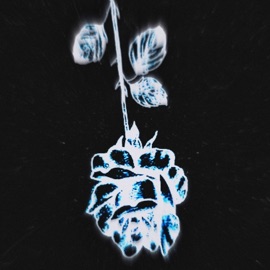 Hogi (feat. Mav) Errord