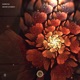 Destiny of Beirut Single