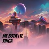 Me Bota\Te Xinga (feat. MC MT) - Single