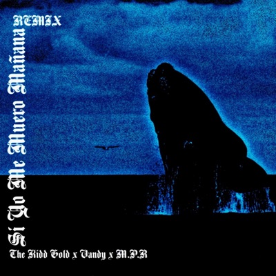 Si Yo Me Muero Mañana (Remix) [feat. MPR & Vandy] - Single