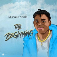 The Beginning - Muraino