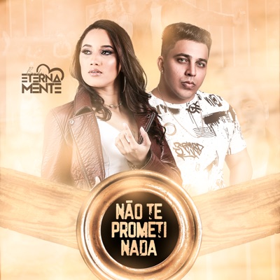 Não Te Prometi Nada - Single