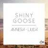 Shiny Goose - Amnesia