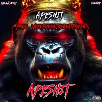 Apeshit (feat. Dougie) - Single - Mr. Wisdom