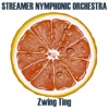 Zwing Ting cover art