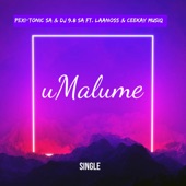 uMalume (feat.Laanoss & Ceekay Musiq) artwork