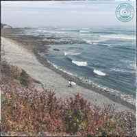 Ocean Abstract - Single - Vannorte