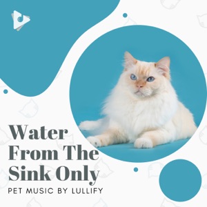 Water From the Sink Only