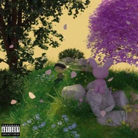 Viviendo en el Mundo Material - Ángel Dumile