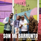 Son Mi Barrunto artwork