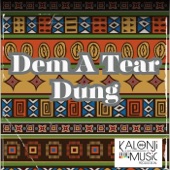 Dem a Tear Down artwork