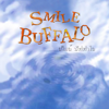 ดีเกินไป - Smile Buffalo