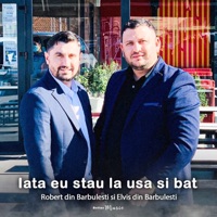 Iata eu stau la usa si bat (feat. Elvis din Barbulesti) - Single - Robert Din Barbulesti