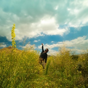 Flow - Single