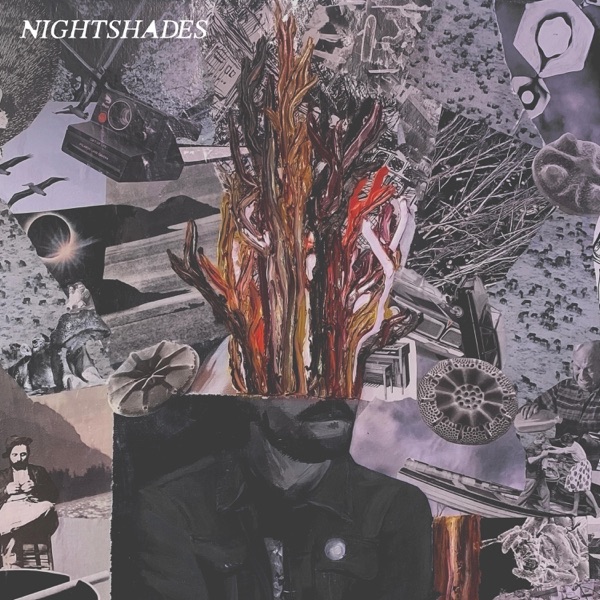 It's Not Weird (feat. Common Fires, Andrew Judah & N. SHERMAN)