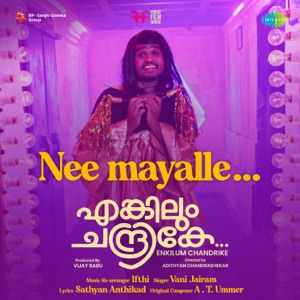 Nee Mayalle (From 