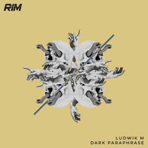 Dark Paraphrase - Single