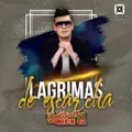 Lagrimas de Escarcha (En vivo)