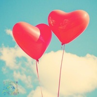 Love Love - Single - Digital Crates