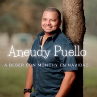 A BEBER EN NAVIDAD - Single - Aneudy Puello