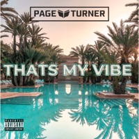 That's My Vibe - Single - Page Turner