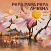Papa Papa Papa Ameena - Dede Omat